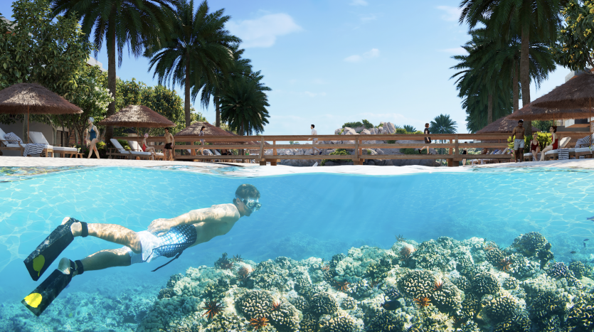 Un homme avec un équipement de plongée en apnée nageant au-dessus d&#039;un récif de corail vibrant dans une vue cristalline d&#039;une scène sur l&#039;eau et sous l&#039;eau à Damas Hills 3, un complexe luxueux avec des palmiers et un taxi.