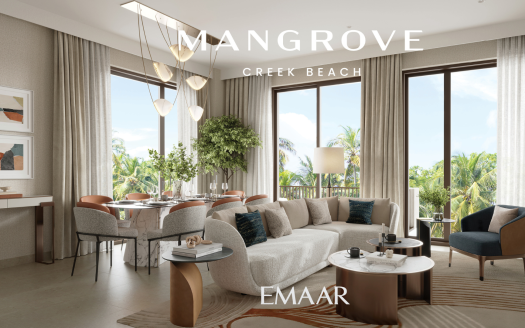 Creek Beach Mangrove