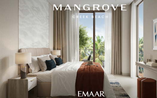 Creek Beach Mangrove